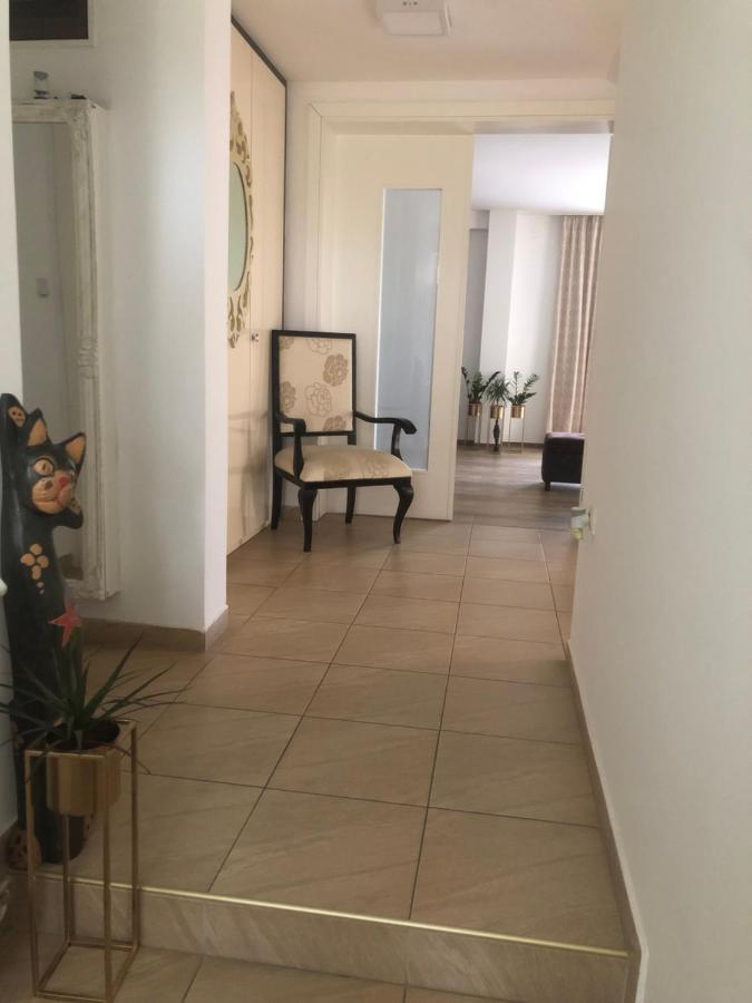 Apartments Dunja نوفي ساد المظهر الخارجي الصورة