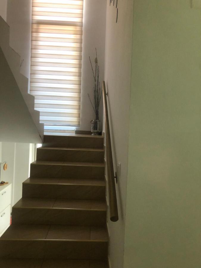 Apartments Dunja نوفي ساد المظهر الخارجي الصورة